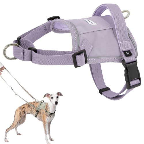 Duuclume Leichtes Hundegeschirr mit Front-Kontrolle, Anti-Zieh-Hundegeschirr und Leine, reflektierend, taktische Sicherheitsgurte für kleine, mittelgroße und große Hunde, Lila, Größe L Duuclume Leichtes Hundegeschirr mit Front-Kontrolle, Anti-Zieh-Hundegeschirr und Leine, reflektierend, taktische Sicherheitsgurte für kleine, mittelgroße und große Hunde, Lila, Größe L von Duuclume