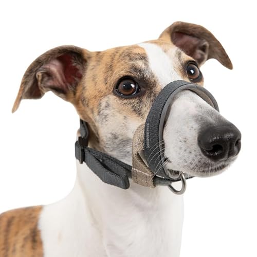 Duuclume Maulkorb für kleine bis große Hunde – atmungsaktiver, verstellbarer Gurt mit gepolstertem Nasenband und reflektierenden Streifen, verhindert Beißen, Kauen, Bellen (L) von Duuclume