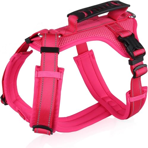 Duuclume No-Pull Hundegeschirr, ausbruchsicher, reflektierend, Hundegeschirr mit Griff, bequeme Hundeweste mit gepolstertem Stoff, verstellbare Geschirre für Gehen, Laufen, Training, Outdoor (Rosa, L) Duuclume No-Pull Hundegeschirr, ausbruchsicher, reflektierend, Hundegeschirr mit Griff, bequeme Hundeweste mit gepolstertem Stoff, verstellbare Geschirre für Gehen, Laufen, Training, Outdoor (Rosa, L) von Duuclume