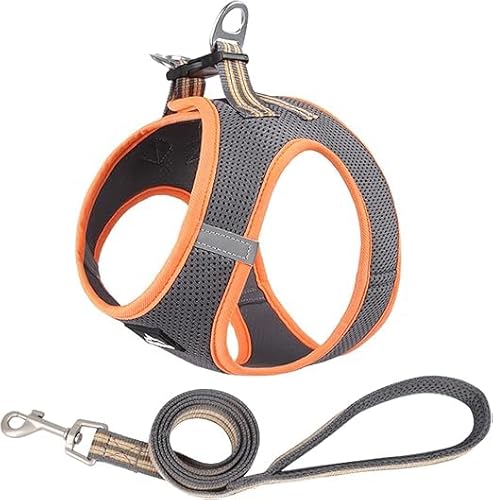 Duuclume Step in Hundegeschirr, kein Entkommen und kein Ziehen, Hundegeschirr mit Leine, verstellbares Welpengeschirr mit gepolstertem Netzgewebe, reflektierender Schnallenriemen für Training, Duuclume Step in Hundegeschirr, kein Entkommen und kein Ziehen, Hundegeschirr mit Leine, verstellbares Welpengeschirr mit gepolstertem Netzgewebe, reflektierender Schnallenriemen für Training, von Duuclume