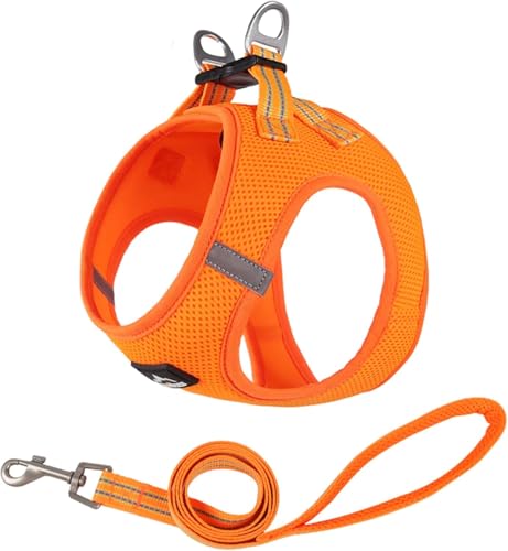 Duuclume Step in Hundegeschirr, kein Entkommen und kein Ziehen, Hundegeschirr mit Leine, verstellbares Welpengeschirr mit gepolstertem Netzgewebe, reflektierender Schnallenriemen für Training, Duuclume Step in Hundegeschirr, kein Entkommen und kein Ziehen, Hundegeschirr mit Leine, verstellbares Welpengeschirr mit gepolstertem Netzgewebe, reflektierender Schnallenriemen für Training, von Duuclume