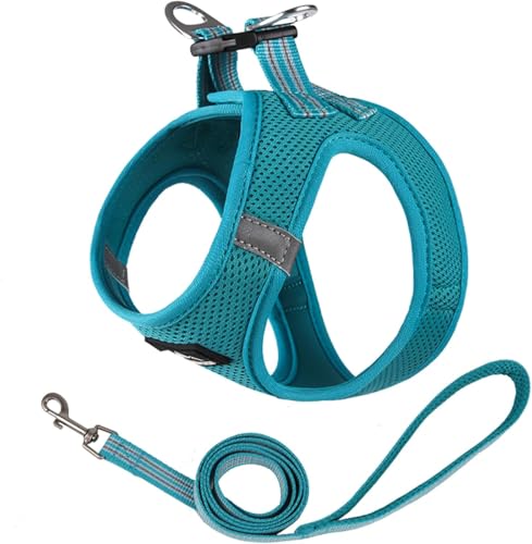 Duuclume Step in Hundegeschirr, kein Entkommen und kein Ziehen, Hundegeschirr mit Leine, verstellbares Welpengeschirr mit gepolstertem Netzgewebe, reflektierender Schnallenriemen für Training, Duuclume Step in Hundegeschirr, kein Entkommen und kein Ziehen, Hundegeschirr mit Leine, verstellbares Welpengeschirr mit gepolstertem Netzgewebe, reflektierender Schnallenriemen für Training, von Duuclume