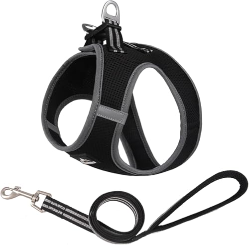 Duuclume Step in Hundegeschirr, kein Entkommen und kein Ziehen, Hundegeschirr mit Leine, verstellbares Welpengeschirr mit gepolstertem Netzgewebe, reflektierender Schnallenriemen für Training, Duuclume Step in Hundegeschirr, kein Entkommen und kein Ziehen, Hundegeschirr mit Leine, verstellbares Welpengeschirr mit gepolstertem Netzgewebe, reflektierender Schnallenriemen für Training, von Duuclume