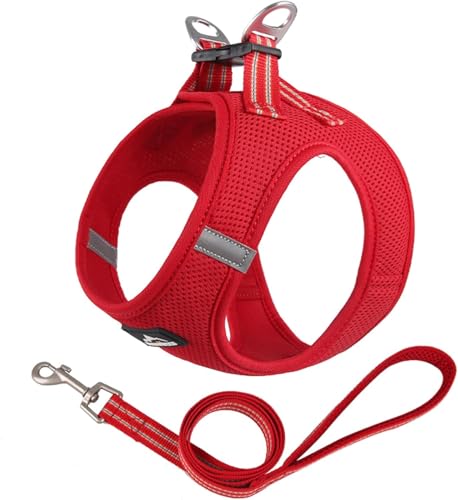 Duuclume Step in Hundegeschirr, kein Entkommen und kein Ziehen, Hundegeschirr mit Leine, verstellbares Welpengeschirr mit gepolstertem Netzstoff, reflektierender Schnallenriemen für Training, Duuclume Step in Hundegeschirr, kein Entkommen und kein Ziehen, Hundegeschirr mit Leine, verstellbares Welpengeschirr mit gepolstertem Netzstoff, reflektierender Schnallenriemen für Training, von Duuclume