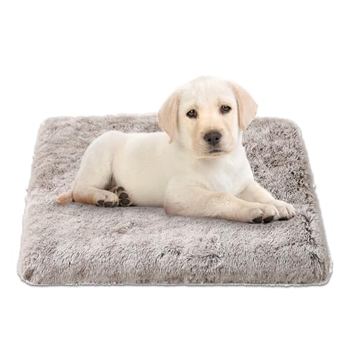Duuclume Ultra bequeme Hundebetten, extra dickes, wasserdichtes Memory-Schaum-Hundebett mit abnehmbarem, waschbarem Bezug und rutschfester Unterseite, flauschige Plüsch-Haustierhütte, Schlafmatte für von Duuclume
