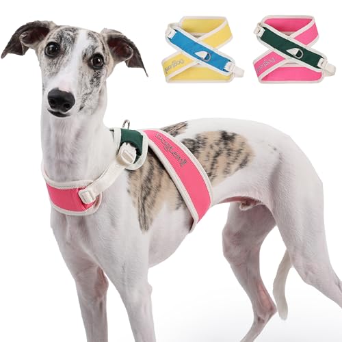 Duuclume X-Rücken Hundegeschirr, kein Ziehen, verstellbar, ausbruchsicher, mit Clip an der Rückseite, bequem und schnelle Passform, für kleine, mittelgroße und große Hunde, Rosarot, Größe M Duuclume X-Rücken Hundegeschirr, kein Ziehen, verstellbar, ausbruchsicher, mit Clip an der Rückseite, bequem und schnelle Passform, für kleine, mittelgroße und große Hunde, Rosarot, Größe M von Duuclume