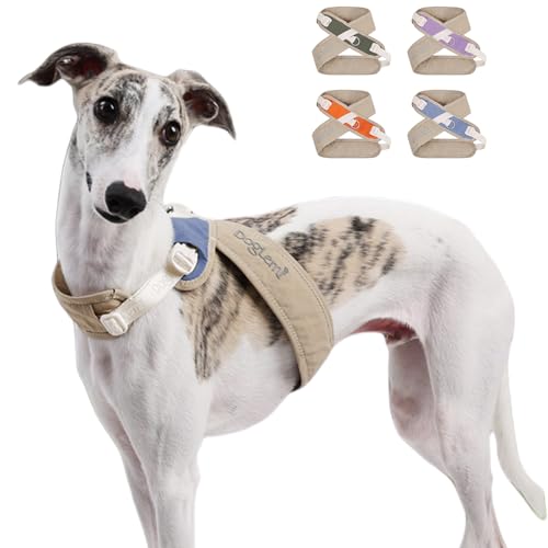 Duuclume X-Rücken Hundegeschirr, kein Ziehen, verstellbar, ausbruchsicher, mit Clip an der Rückseite für kleine, mittelgroße und große Hunde, Beige Blau, Größe S Duuclume X-Rücken Hundegeschirr, kein Ziehen, verstellbar, ausbruchsicher, mit Clip an der Rückseite für kleine, mittelgroße und große Hunde, Beige Blau, Größe S von Duuclume