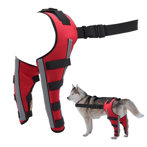 Duvcoywae Hundekniegelaste, Hunde Hüftklammer,Pet Orthopaedic Joint Support Brace | Einstellbare Beinstütze für die Warm und Stabiler Tierfugen von Duvcoywae