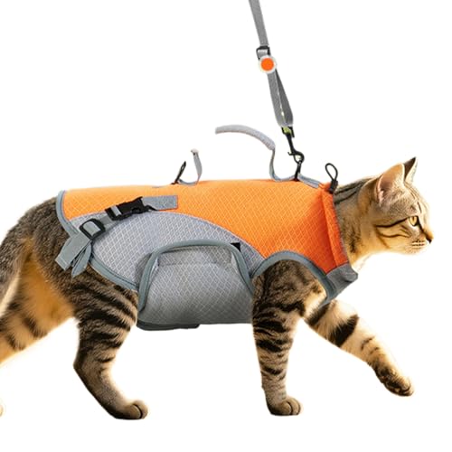 Duvcoywae Pet Kühlweste - Hunde-Kühlweste Mit Geschirrfunktion - Abnehmbare Schultergurte Tierbekleidung Für Outdoor-Aktivitäten Training Camping Und Wanderungen von Duvcoywae