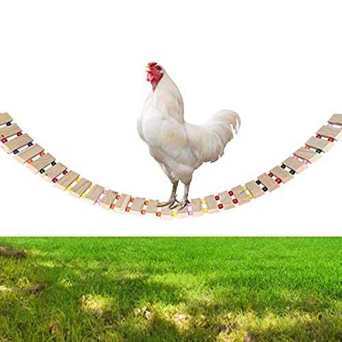 DuvinDD Hühnerspielzeug Hühnerstall aus Naturholz Hühnerleiter Hühnerschaukel Hühnerstall für Vogel Geflügel Hahn Küken von DuvinDD