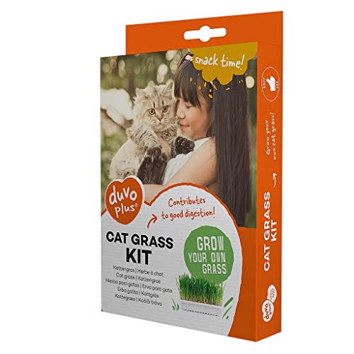 duvoplus DUVO HIERBA Natural para Gatos 70 GR duvoplus DUVO HIERBA Natural para Gatos 70 GR von Duvo+