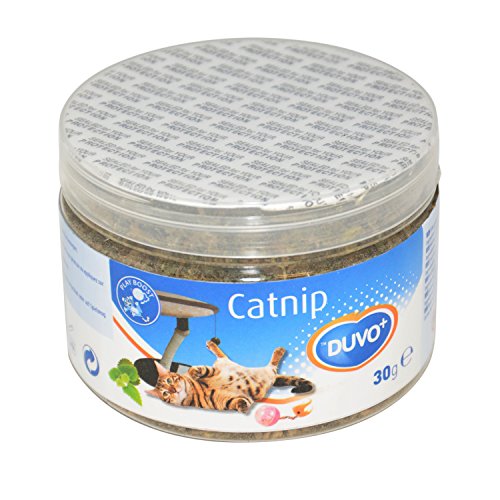 Duvo+ 471601 Catnip Kraut Duvo+ 471601 Catnip Kraut von Duvo+