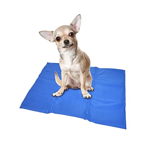 duvoplus, Kühlmatte XXL – 120 x 80 cm Blau für Sauberkeit Teppich Blau Hund von Duvoplus