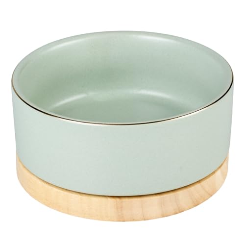 Duvo+ Schale aus Steinholz, 450 ml, 12,5 x 12,5 x 6 cm, grün Duvo+ Schale aus Steinholz, 450 ml, 12,5 x 12,5 x 6 cm, grün von Duvo+
