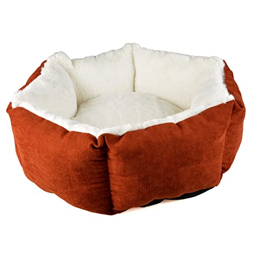 Duvoplus, Hundebett Hexa Velvet Copper M – 60 x 60 x 24 cm, Rot/Weiß, umweltfreundlich, Füllung 100% recycelt, Rutschfester Boden, bequemer und Warmer Schlafplatz für Hunde Duvoplus, Hundebett Hexa Velvet Copper M – 60 x 60 x 24 cm, Rot/Weiß, umweltfreundlich, Füllung 100% recycelt, Rutschfester Boden, bequemer und Warmer Schlafplatz für Hunde von Duvoplus