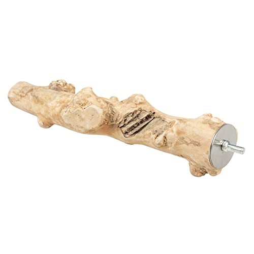 duvoplus Perchoir en Bois de caféier L - 40cm brun duvoplus Perchoir en Bois de caféier L - 40cm brun von Duvoplus