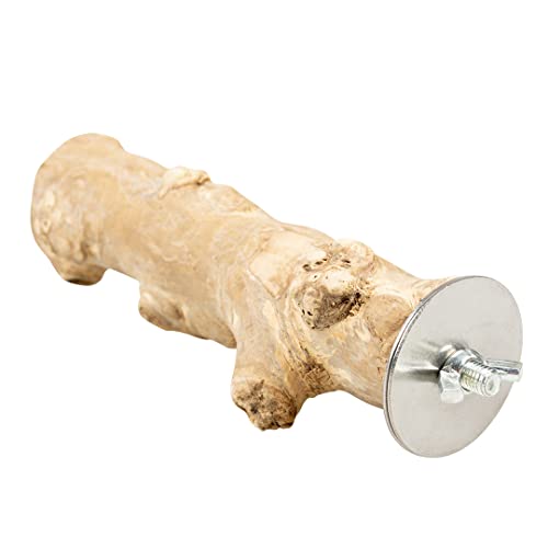 Sitzstange aus Kaffeeholz, S, 20 cm, Braun Sitzstange aus Kaffeeholz, S, 20 cm, Braun von Duvoplus