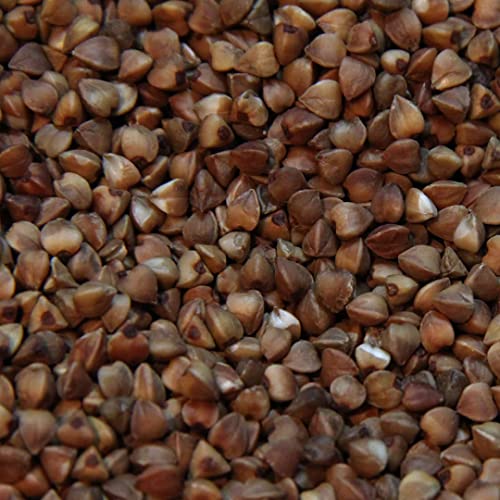 duvoplus, Buchweizen gestreift, extra 20 kg, köstliches und abwechslungsreiches Futter für Verschiedene Arten von Ziervögeln, speziell entwickelt für Vögel duvoplus, Buchweizen gestreift, extra 20 kg, köstliches und abwechslungsreiches Futter für Verschiedene Arten von Ziervögeln, speziell entwickelt für Vögel von Duvoplus