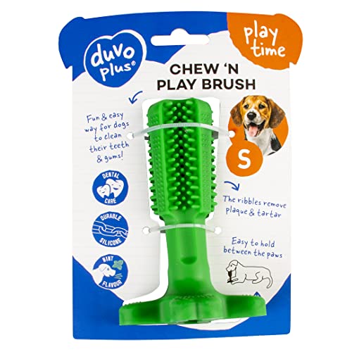 duvoplus, Chew `n Play Brush S – 12 x 7,6 x 7,6 cm, Grün, Spielzeug, Grün, Hund duvoplus, Chew `n Play Brush S – 12 x 7,6 x 7,6 cm, Grün, Spielzeug, Grün, Hund von Duvoplus