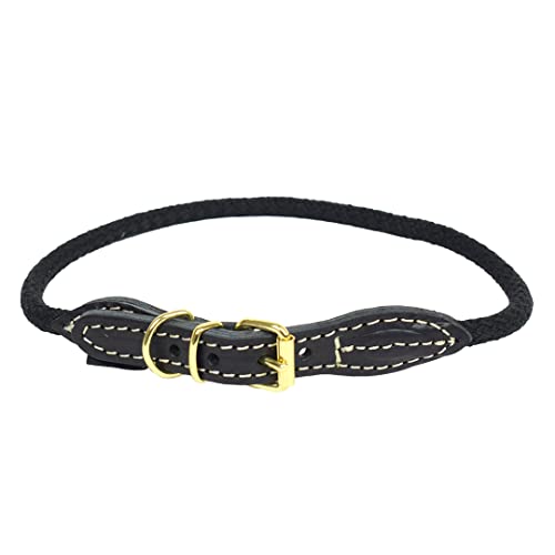 duvoplus, Explorer Forest Halsband Nylon L – 57 – 61 cm / 8 mm schwarz, Halsband, schwarz, Hund von Duvoplus