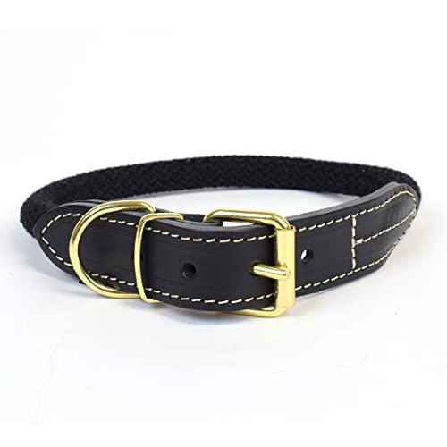 duvoplus, Explorer Forest Halsband Nylon XL – 56 – 64 cm / 14 mm Schwarz, Halsband, Schwarz, Hund von Duvoplus