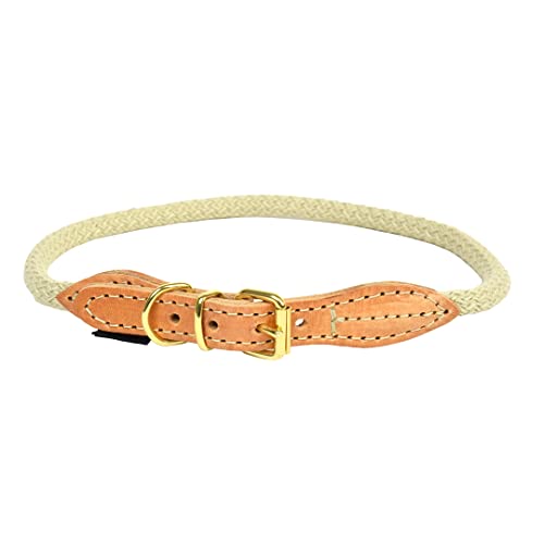 duvoplus, Explorer Forest Halsband Nylon XL – 62 – 66 cm/8 mm beige, Halsband, Beige, Hund duvoplus, Explorer Forest Halsband Nylon XL – 62 – 66 cm/8 mm beige, Halsband, Beige, Hund von Duvoplus