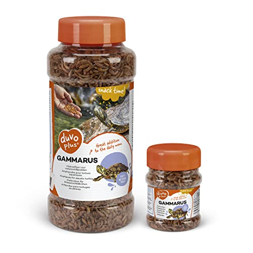 duvoplus, Gammarus 220 ml, Reptilien, Reptilien duvoplus, Gammarus 220 ml, Reptilien, Reptilien von Duvoplus