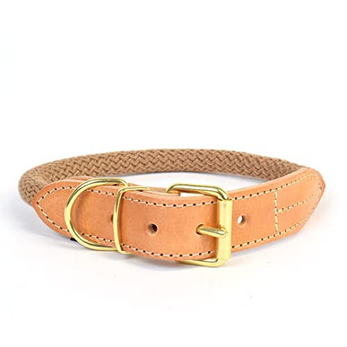 duvoplus, Halsband aus robustem und weichem Nylon mit Leder-Finish GA Me Explor Forest, Größe M – 41 – 49 cm/14 mm, Farbe Taupe, für Hunde, ideal für Spaziergänge und abenteuerliche Expeditionen duvoplus, Halsband aus robustem und weichem Nylon mit Leder-Finish GA Me Explor Forest, Größe M – 41 – 49 cm/14 mm, Farbe Taupe, für Hunde, ideal für Spaziergänge und abenteuerliche Expeditionen von Duvoplus