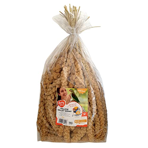 duvoplus, Hirse in Trauben, Gelb, 1 kg, Vogelfutter duvoplus, Hirse in Trauben, Gelb, 1 kg, Vogelfutter von Duvoplus