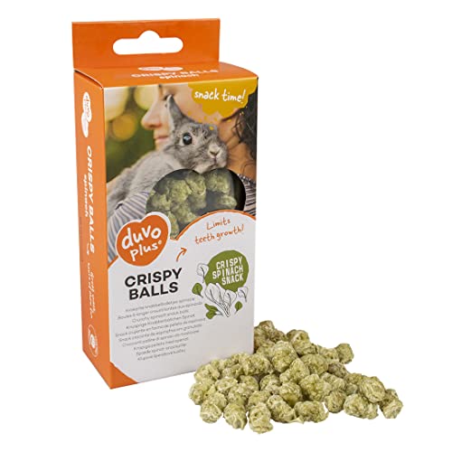 duvoplus, Knusprige Nagerkugeln, Spinat, 50 g, Grün, Nagetiere, Nager duvoplus, Knusprige Nagerkugeln, Spinat, 50 g, Grün, Nagetiere, Nager von Duvoplus