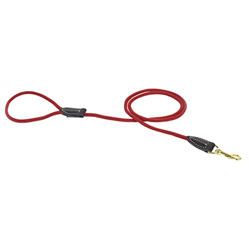 duvoplus, Leine aus robustem und weichem Nylon mit Leder-Finish, Produktreihe Explor Forest, Größe 135 cm/8 mm, rot, für Hunde, ideal für abenteuerliche Spaziergänge und Expeditionen duvoplus, Leine aus robustem und weichem Nylon mit Leder-Finish, Produktreihe Explor Forest, Größe 135 cm/8 mm, rot, für Hunde, ideal für abenteuerliche Spaziergänge und Expeditionen von Duvoplus