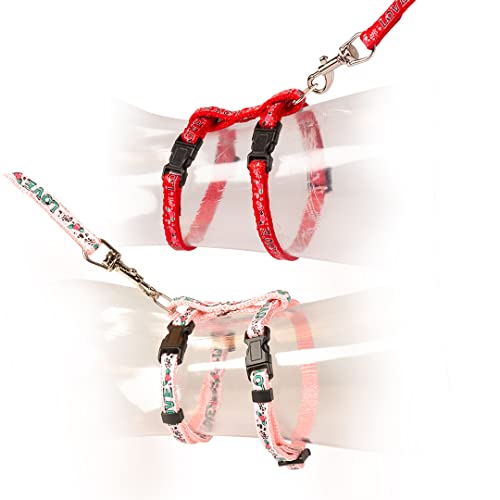 duvoplus, Set mit Spaziergang Katze Love 20 – 35 cm/10 mm – 125 cm Rot/Rosa, Set Halsband + für den Ausgang für Leine, Rot/Rosa, Katze von Duvoplus