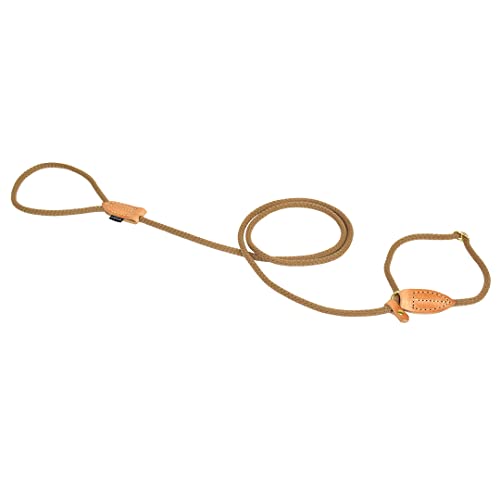 duvoplus, Trainingsleine aus robustem und weichem Nylon mit Leder-Finish, Produktreihe Explor Forest, Größe 170 cm/8 mm, Taupe, ideal für Spaziergänge und abenteuerliche Expeditionen duvoplus, Trainingsleine aus robustem und weichem Nylon mit Leder-Finish, Produktreihe Explor Forest, Größe 170 cm/8 mm, Taupe, ideal für Spaziergänge und abenteuerliche Expeditionen von Duvoplus