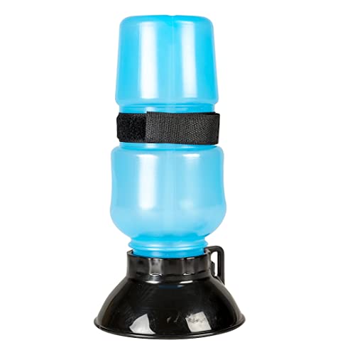 duvoplus, Squeeze Wasserflasche, 500 ml – 10,5 x 10,5 x 21,5 cm, blau, wasserdicht, Flasche mit Druckknopf für Wasser, ideal für unterwegs, leichte und einfach zu bedienende Flasche von Duvoplus