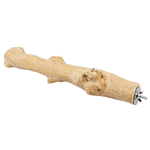 duvoplus Perchoir en Bois de caféier XL - 50cm brun duvoplus Perchoir en Bois de caféier XL - 50cm brun von Duvoplus