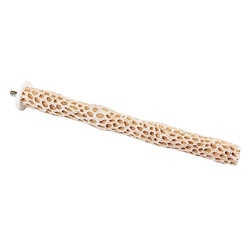 duvoplus Sitzstange, Kaktus, M, 30 x 3 x 3 cm, Braun duvoplus Sitzstange, Kaktus, M, 30 x 3 x 3 cm, Braun von duvoplus