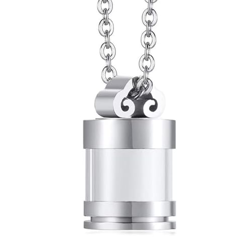 Duyeuau Gedenkurne zur Einäscherung von Haustieren, Schmuck, Asche, Halskette, kreativer Haustier-Urne Duyeuau Gedenkurne zur Einäscherung von Haustieren, Schmuck, Asche, Halskette, kreativer Haustier-Urne von Duyeuau