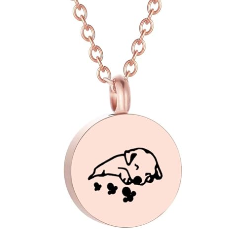 Duyeuau Gedenkurne zur Einäscherung von Haustieren, Schmuck, Asche, Halskette, kreativer Haustier-Urne Duyeuau Gedenkurne zur Einäscherung von Haustieren, Schmuck, Asche, Halskette, kreativer Haustier-Urne von Duyeuau
