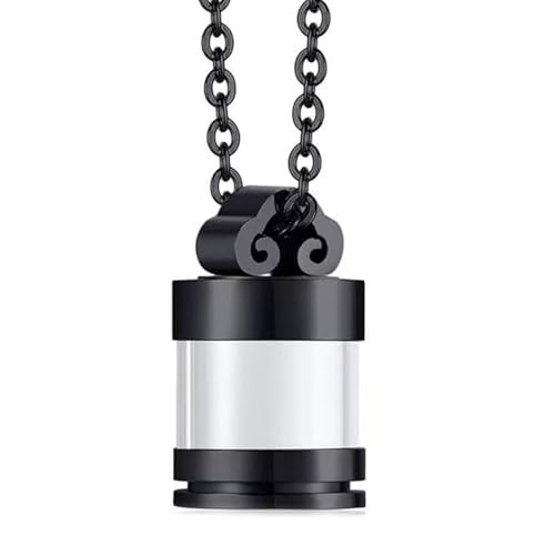 Duyeuau Gedenkurne zur Einäscherung von Haustieren, Schmuck, Asche, Halskette, kreativer Haustier-Urne Duyeuau Gedenkurne zur Einäscherung von Haustieren, Schmuck, Asche, Halskette, kreativer Haustier-Urne von Duyeuau