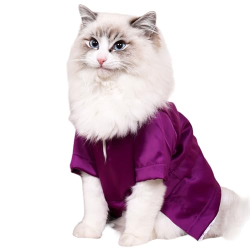 Duyeuau Katzenanzug für große Katzen, Seidengefühl, weich, einfarbig, dünnes T-Shirt Duyeuau Katzenanzug für große Katzen, Seidengefühl, weich, einfarbig, dünnes T-Shirt von Duyeuau