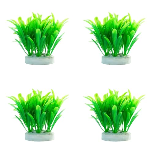 Duyeuau Künstliche Pflanze für Aquarien, Terrarien, Garnelen, Gras, Ornamente Duyeuau Künstliche Pflanze für Aquarien, Terrarien, Garnelen, Gras, Ornamente von Duyeuau