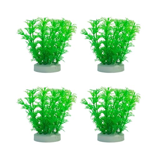 Duyeuau Künstliche Pflanze für Aquarien, Terrarien, Garnelen, Gras, Ornamente Duyeuau Künstliche Pflanze für Aquarien, Terrarien, Garnelen, Gras, Ornamente von Duyeuau