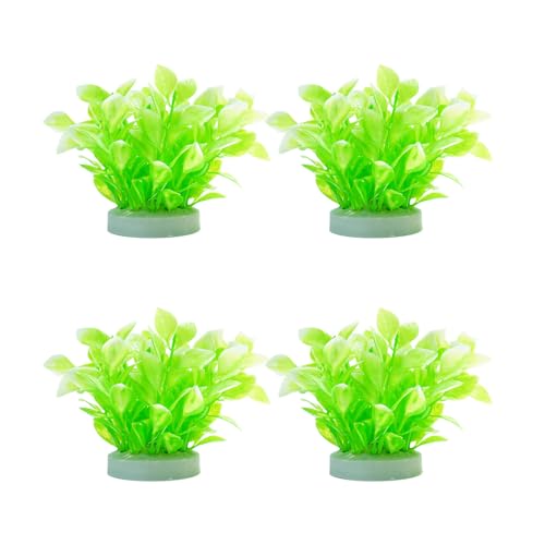 Duyeuau Künstliche Pflanze für Aquarien, Terrarien, Garnelen, Gras, Ornamente Duyeuau Künstliche Pflanze für Aquarien, Terrarien, Garnelen, Gras, Ornamente von Duyeuau