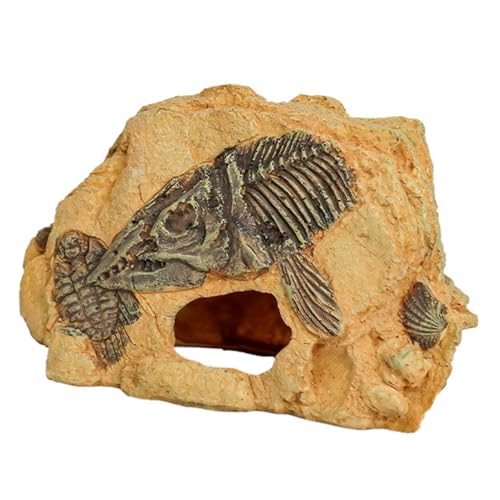 Duyeuau Terrarien, Sonnenplattform, Aquarien, Unterschlupfhöhle für Reptilien, Terrapins, Aquarien, Landschaftsdekoration für Zuhause Duyeuau Terrarien, Sonnenplattform, Aquarien, Unterschlupfhöhle für Reptilien, Terrapins, Aquarien, Landschaftsdekoration für Zuhause von Duyeuau