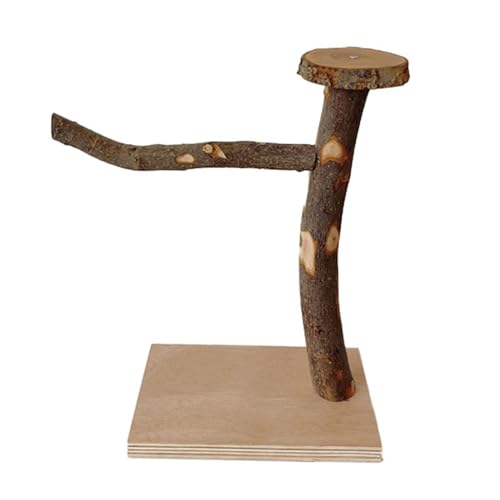 Duyeuau Vogelschaukel, Papageienkäfigspielzeug, Holzschaukel Sitzstange Tablett Fütterungstassen Training für kleine Vogel Duyeuau Vogelschaukel, Papageienkäfigspielzeug, Holzschaukel Sitzstange Tablett Fütterungstassen Training für kleine Vogel von Duyeuau