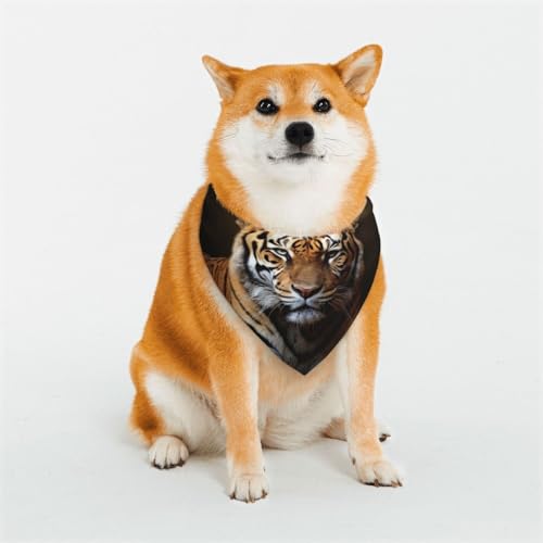 Cooles Tiger-Hundehalstuch, klein, verstellbar, Dreieck-Lätzchen, doppeltes wendbares Halstuch, waschbar, tägliches Taschentuch für mittelgroße und große Hunde, Welpen, Katzen, Geschenk Cooles Tiger-Hundehalstuch, klein, verstellbar, Dreieck-Lätzchen, doppeltes wendbares Halstuch, waschbar, tägliches Taschentuch für mittelgroße und große Hunde, Welpen, Katzen, Geschenk von Dwrepo
