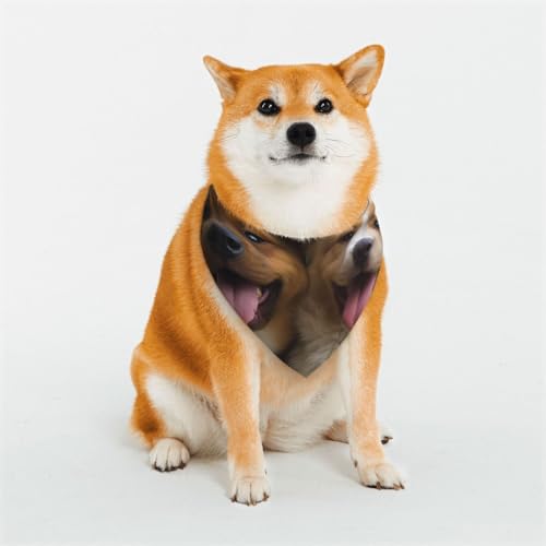 Funny Dogs Hundehalstuch, verstellbar, dreieckig, doppelt, wendbar, waschbar, für den täglichen Gebrauch, für mittelgroße und große Hunde, Welpen, Katzen, Geschenk Funny Dogs Hundehalstuch, verstellbar, dreieckig, doppelt, wendbar, waschbar, für den täglichen Gebrauch, für mittelgroße und große Hunde, Welpen, Katzen, Geschenk von Dwrepo