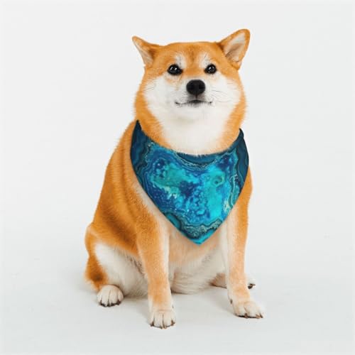 Hundehalstuch, Dreiecks-Lätzchen, doppelseitig, waschbar, für mittelgroße und große Hunde, Welpen, Katzen, Aquablau, Türkis, Hellblau / Türkis Hundehalstuch, Dreiecks-Lätzchen, doppelseitig, waschbar, für mittelgroße und große Hunde, Welpen, Katzen, Aquablau, Türkis, Hellblau / Türkis von Dwrepo
