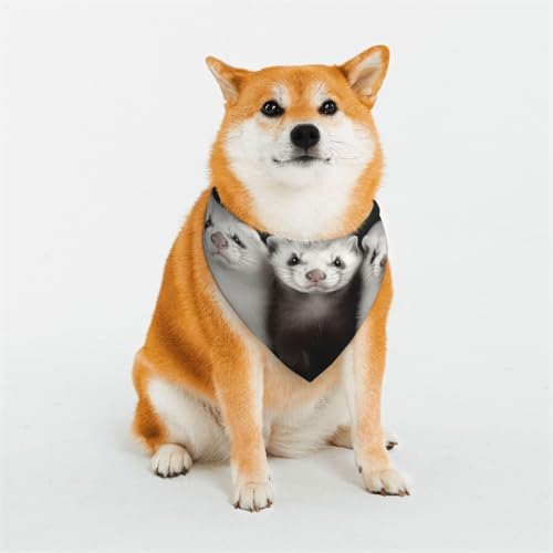 Hundehalstuch, Frettchen, Größe M, verstellbar, dreieckig, doppelt, wendbar, waschbar, für mittelgroße und große Hunde, Welpen, Katzen, Geschenk Hundehalstuch, Frettchen, Größe M, verstellbar, dreieckig, doppelt, wendbar, waschbar, für mittelgroße und große Hunde, Welpen, Katzen, Geschenk von Dwrepo