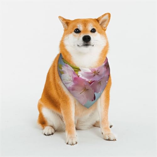 Hundehalstuch, Motiv: Kirschblüte, groß, verstellbar, dreieckig, doppelt, wendbar, waschbar, für mittelgroße und große Hunde, Welpen, Katzen, Geschenk Hundehalstuch, Motiv: Kirschblüte, groß, verstellbar, dreieckig, doppelt, wendbar, waschbar, für mittelgroße und große Hunde, Welpen, Katzen, Geschenk von Dwrepo